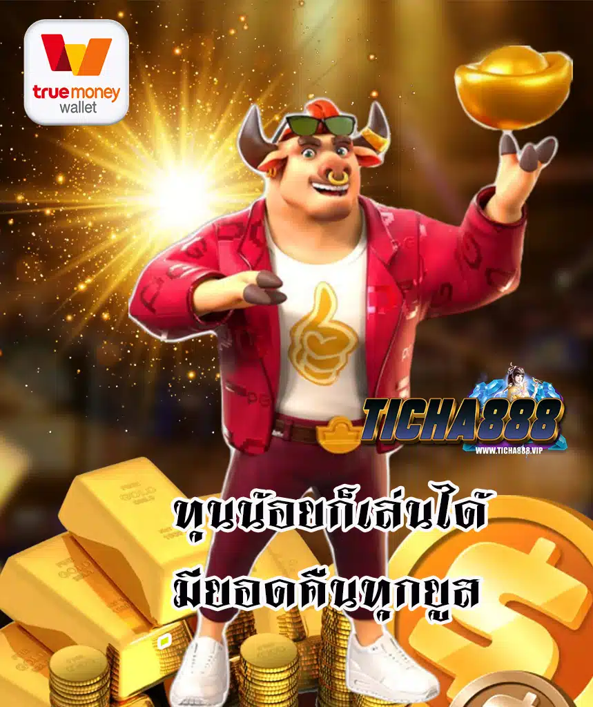 ticha888 เข้าสู่ระบบ